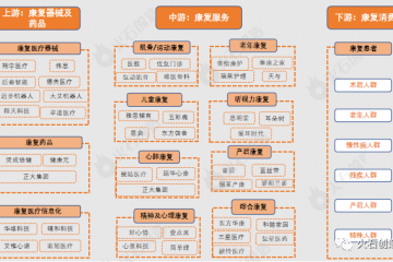 行研 | 我国康复医疗产业链图谱及市场格局分析